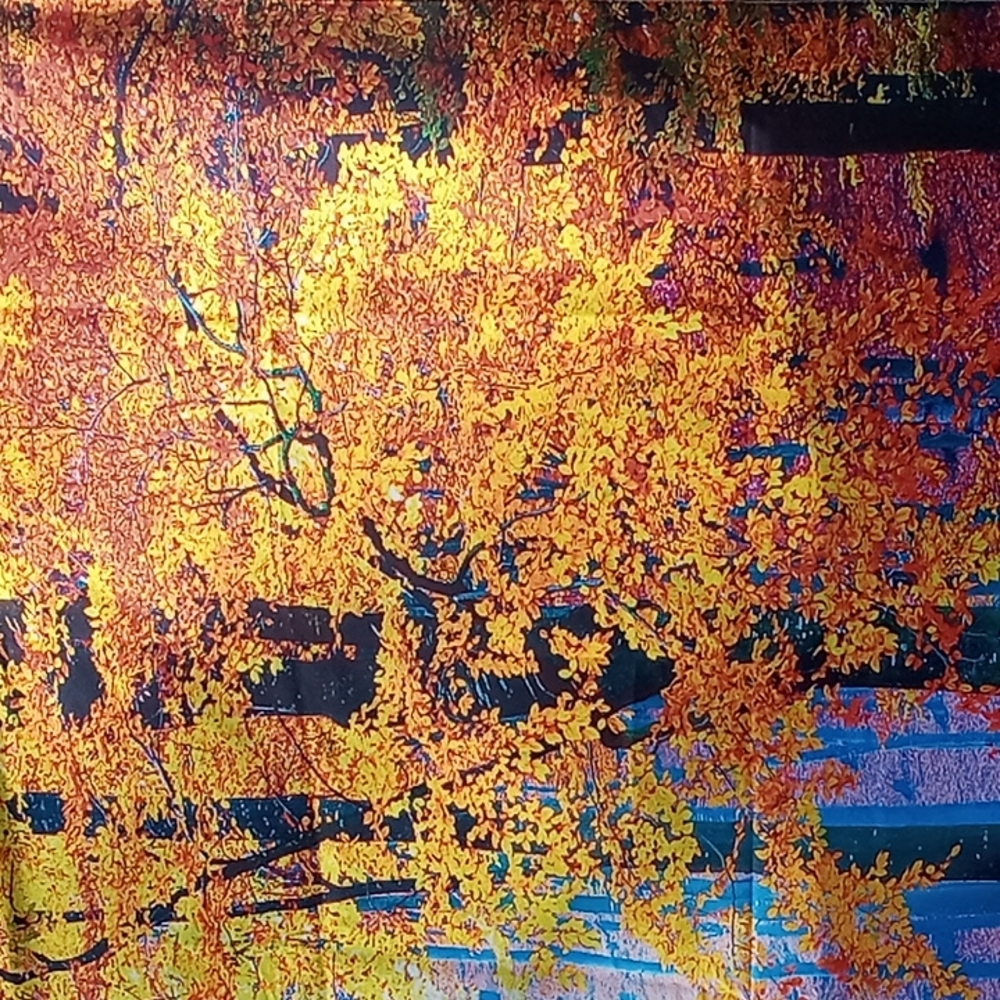 Trees in the Fall Tapestry NEW - Picture 3 of 3